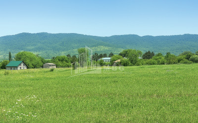 For Sale Land Ghuleli Tianeti Mtskheta   Mtianeti