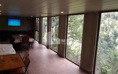 For Sale House Villa Borjomi Samtskhe   Javakheti