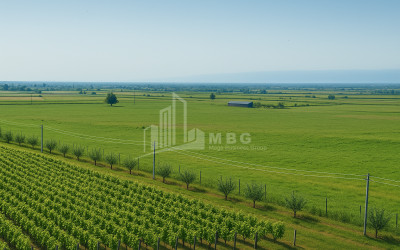 Продается Земля Шильда Кварели Кахети