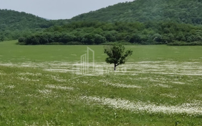 Продается Земля Гомбори Сагареджо Кахети