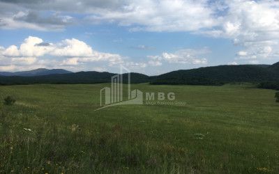 Продается Земля Гомбори Сагареджо Кахети