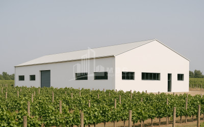 იყიდება კომერციული ფართი დოესი კასპი შიდა ქართლი