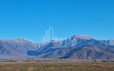 For Sale Land Eniseli Kvareli Kakheti