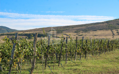 იყიდება კომერციული ფართი დოესი კასპი შიდა ქართლი