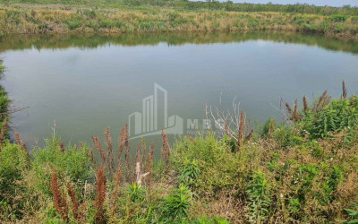 იყიდება მიწის ნაკვეთი სენაკი სამეგრელო   ზემო სვანეთი