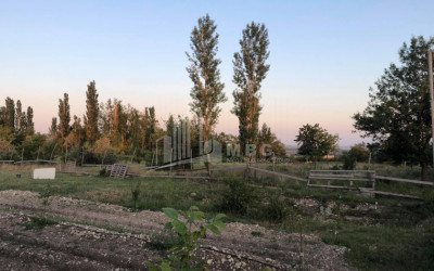 იყიდება მიწის ნაკვეთი ნასაგური სამგორის რაიონი თბილისი