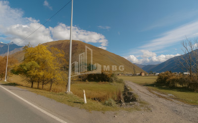 იყიდება მიწის ნაკვეთი აჩხოტი ყაზბეგი მცხეთა   მთიანეთი