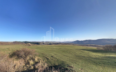 Продается Земля Тетрицкаро Квемо Картли