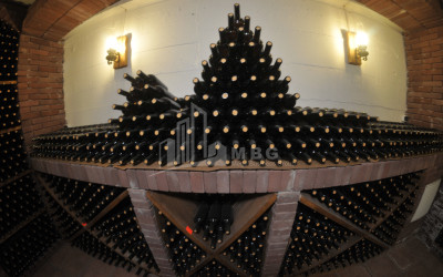 Продается Коммерческий Хашми Сагареджо Кахети