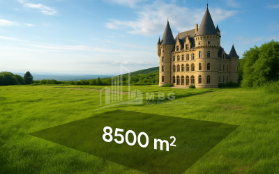 იყიდება მიწის ნაკვეთი სიღნაღი კახეთი