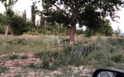 იყიდება მიწის ნაკვეთი ნასაგური სამგორის რაიონი თბილისი