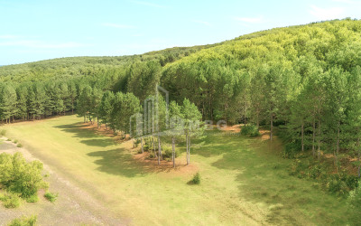 Продается Земля Городок Сурами Хашури Шида Картли