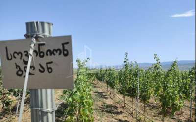 იყიდება კომერციული ფართი დოესი კასპი შიდა ქართლი