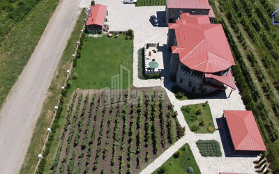 Продается Коммерческий Телави Кахети