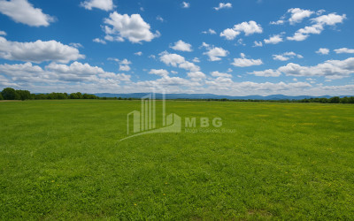 For Sale Land Vartsikhe Baghdati Imereti