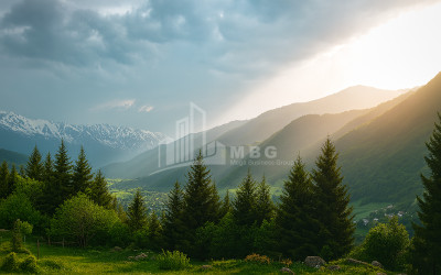 For Sale Land Mestia Samegrelo   Upper Svaneti