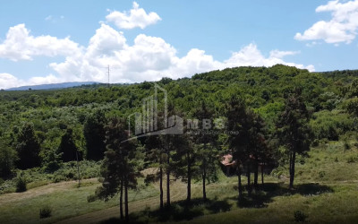 For Sale Commercial Atskuri Akhmeta Kakheti