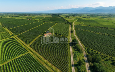 Продается Земля Кварели Кахети