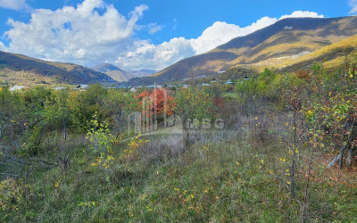 Продается Земля Деревня Чинти Душети Мцхета   Мтианети