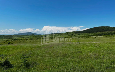 For Sale Land Zakaro Mtskheta Mtskheta   Mtianeti