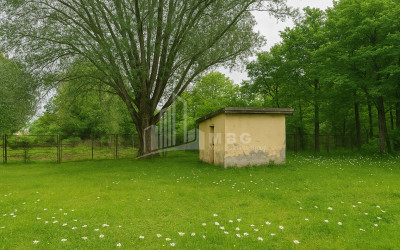 For Sale Commercial Ambrolauri Racha   Lechxumi Kvemo Svaneti