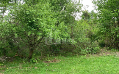 Продается Земля Иста Амбролаури Рача   Лечхуми Квемо Сванети