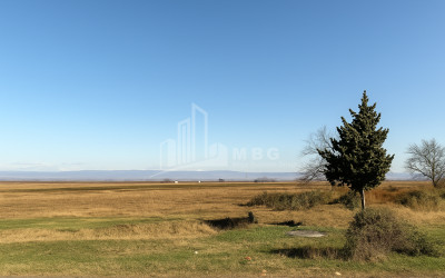 იყიდება მიწის ნაკვეთი მარნეული ქვემო ქართლი