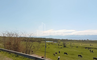 For Sale Land Kutaisi Imereti