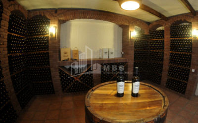 Продается Коммерческий Хашми Сагареджо Кахети