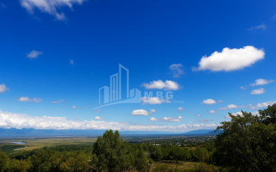 იყიდება მიწის ნაკვეთი სიღნაღი კახეთი