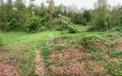 Продается Земля Иста Амбролаури Рача   Лечхуми Квемо Сванети