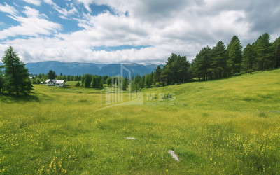 Продается Земля Абастумани Адигени Самцхе   Джавахети