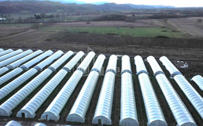 იყიდება მიწის ნაკვეთი ვანი იმერეთი