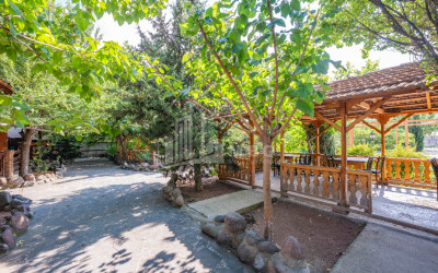 For Sale Commercial Tsitsamuri Mtskheta Mtskheta   Mtianeti