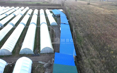 იყიდება მიწის ნაკვეთი ვანი იმერეთი