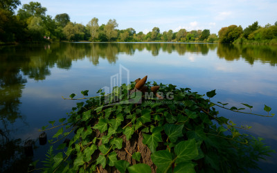 Продается Земля Кварели Кахети