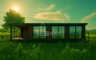 For Sale House Villa Kurdghelauri Telavi Kakheti