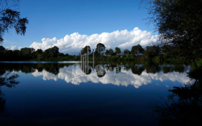 Продается Земля Кварели Кахети