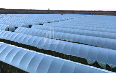 იყიდება მიწის ნაკვეთი ვანი იმერეთი