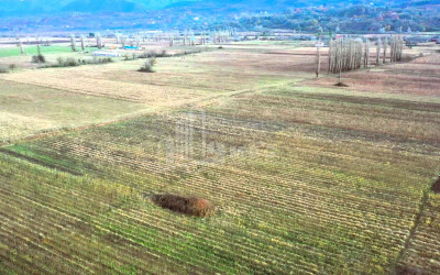 იყიდება მიწის ნაკვეთი ვანი იმერეთი