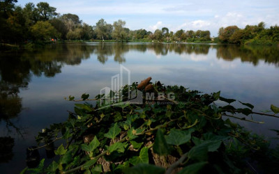 Продается Земля Кварели Кахети