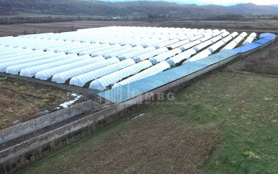 იყიდება მიწის ნაკვეთი ვანი იმერეთი