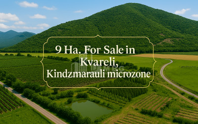 Продается Земля Кварели Кахети