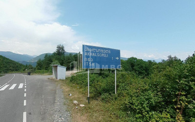 Продается Земля Иста Амбролаури Рача   Лечхуми Квемо Сванети