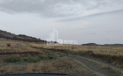 Продается Земля Квемо Бодбе Сигнаgи Кахети