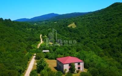 For-Sale-Land-Cheremi-Gurjaani-Kakheti