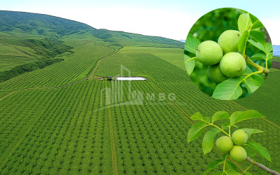 Продается Земля Город Дманиси Дманиси Квемо Картли