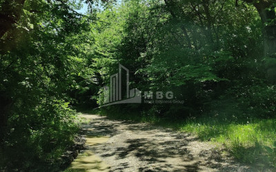 Продается Земля Гомбори Сагареджо Кахети