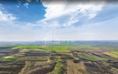 Продается Земля Квемо Бодбе Сигнаgи Кахети