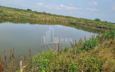 იყიდება მიწის ნაკვეთი სენაკი სამეგრელო   ზემო სვანეთი